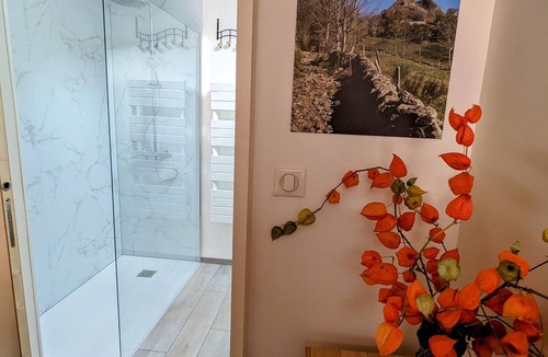Saint-Chely-d'Aubrac House | Le Lepadou Bas