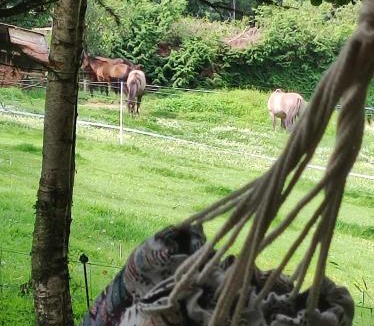 La Chaise-Baudouin Other | Le Lièvre et La Tortue