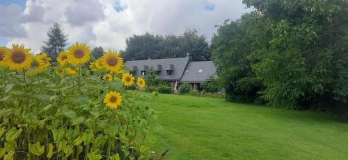 Auzouville-sur-Saane Bed & Breakfast | Le lit de la Saâne