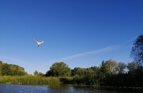 Nieurlet Other | Le lodge de la Redoute