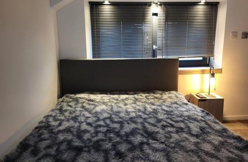 Epinal Apartment | Le Loft