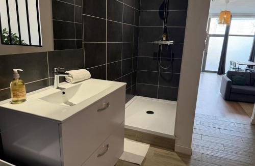 Castelsarrasin Apartment | LE LOFT - Studio ouvert, salle de bain italienne, idéal couples