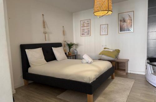 Castelsarrasin Apartment | LE LOFT - Studio ouvert, salle de bain italienne, idéal couples