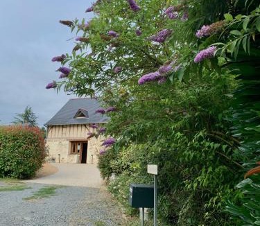 Boce House | Le Logis de la Chouette