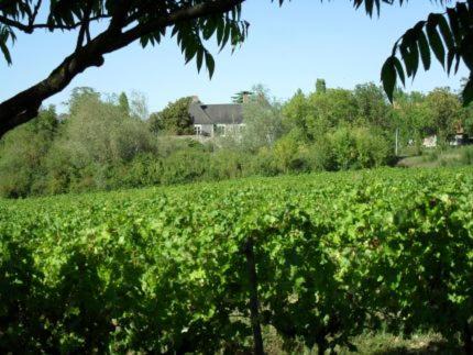 Val-du-Layon Apartment | Le Logis Solidaire