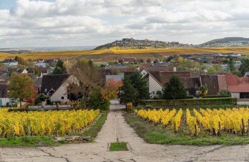 Sancerre House | LE LOGIS ST PERE