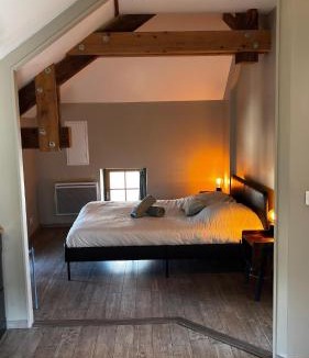 La Roche-sur-Foron Apartment | Le Médiéval dernier étage dans le centre historique