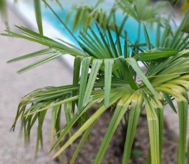 Betaille House | Le Maclo