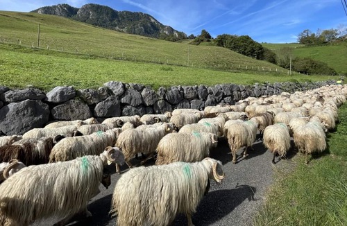 Arette House | LE Magnolia - Arette