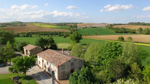 Juzes House | Le Majeste