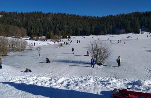 Bellegarde-sur-Valserine Apartment | Le Manant