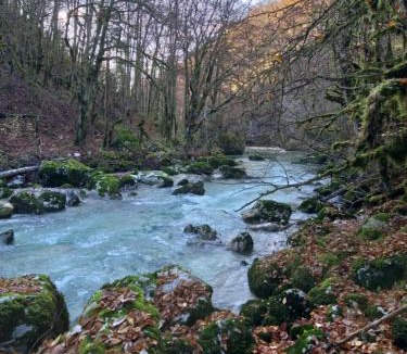 Bellegarde-sur-Valserine Apartment | Le Manant