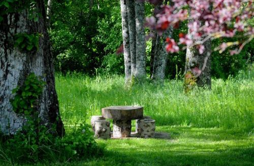 Vitry-Lache Bed & Breakfast | Le Manivert