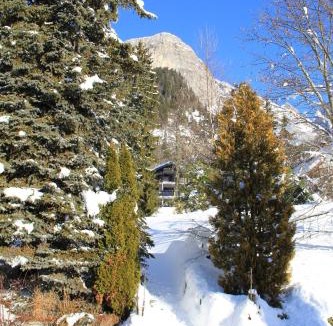 Plateau-d'Assy Apartment | Le Manoir d Ernesta