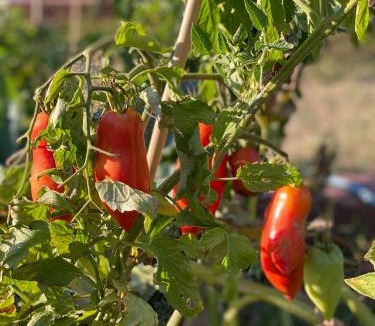 Mougins Hotel | Le Manoir de L'Étang