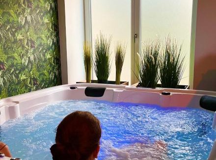 Les Champs-Geraux House | Le Manoir des Haies SPA