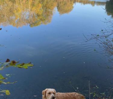Bouere House | Le Manoir des Rochers