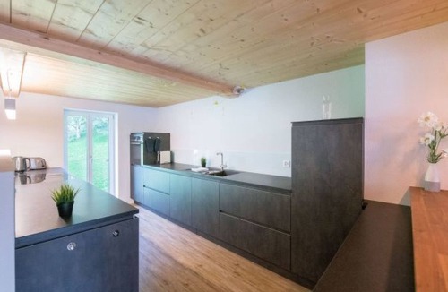 Wengen Apartment | Le Manoir Penthouse by Interhome