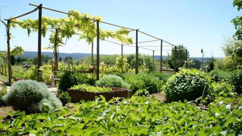 Vagnas Villa | Le Mas D'alzon