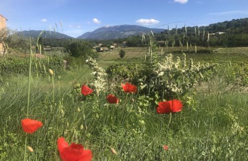 Faucon Bed & Breakfast | le mas de colongene