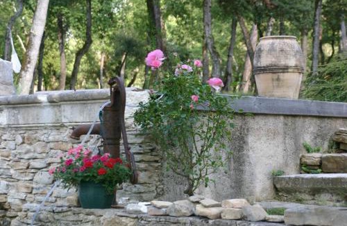 Faucon Bed & Breakfast | Le Mas de la Pinède