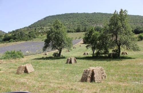 Villeperdrix House | le mas de leoux