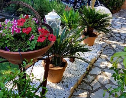 Port Cogolin Bed & Breakfast | Le Mas de Marie