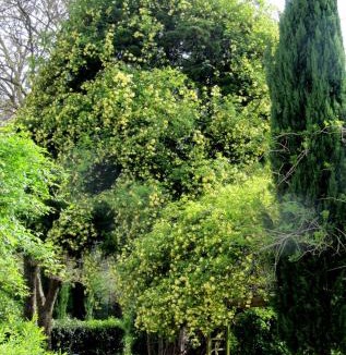 Upie Bed & Breakfast | Le Mas des Clots