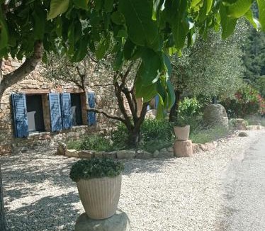 Aubres House | Le Mas des oliviers