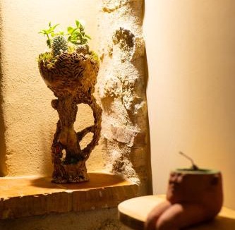 Ceret House | Le Mas du Figuier