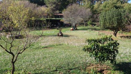 Aubagne House | le Mas du Pin Vert