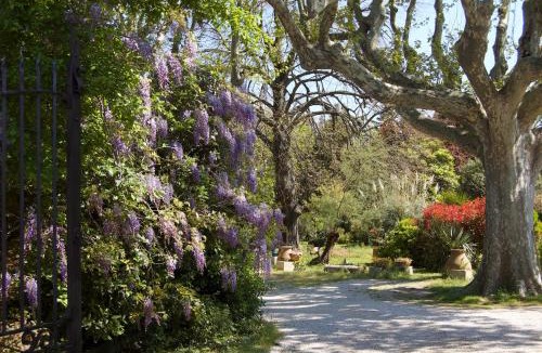 Graveson Bed & Breakfast | Le Mas Ferrand