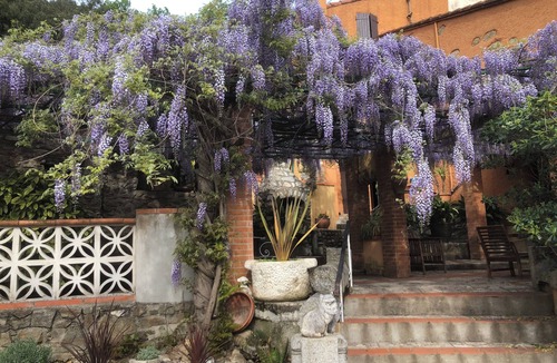 Montferrer House | Le Mas, gite, in the heart of nature, pets welcome, your spa cure 4km away