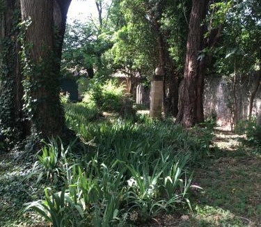 Roquemaure Bed & Breakfast | le mas rocamour