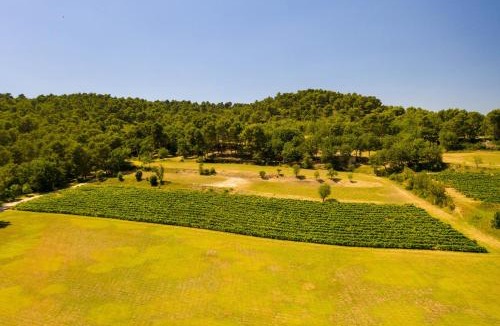 Villelaure Apartment | Le Mas Sérénité