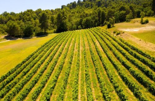 Villelaure Apartment | Le Mas Sérénité