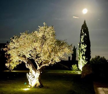 Jonquieres House | Le Mas Saint Philippe