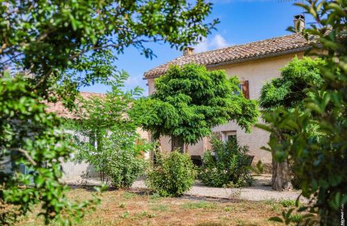 Brens House | Le Mazet de Pendaries - Jardin - Gaillac