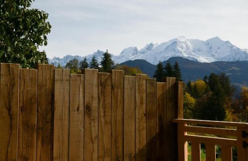 Passy Apartment | Le Mazot d'la Marmotte Studio