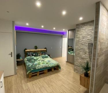 La Roche-Blanche Apartment | Le Menhir 2 Jacuzzi Spa Terasse Barbecue