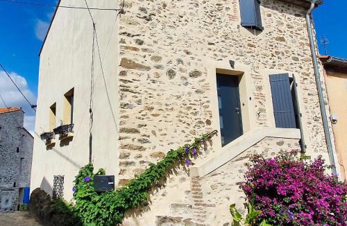 Montesquieu-des-Alberes House | Le Micocoulier