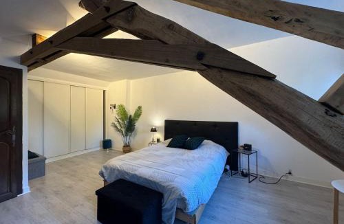 Cerans-Foulletourte House | Le Moderne - 6pers - Bugatti Circuit - Zoo