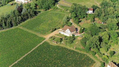 Buxy House | Le Mont Laurent