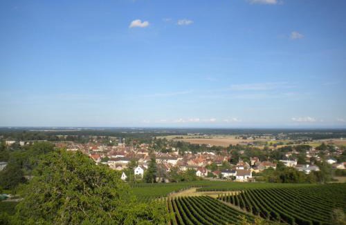 Buxy House | Le Mont Laurent