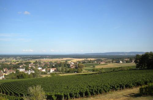 Buxy House | Le Mont Laurent