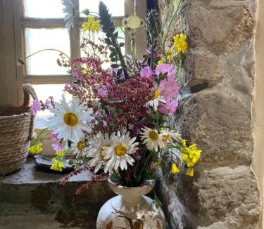 Villebaudon Bed & Breakfast | LE MONTESSER