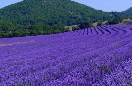 Saint-Montan House | Le Mouleyras