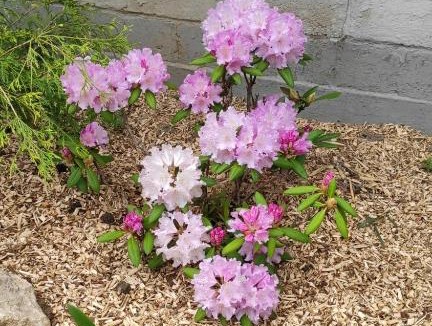 Clerques Bed & Breakfast | Le Moulin d'Audenfort