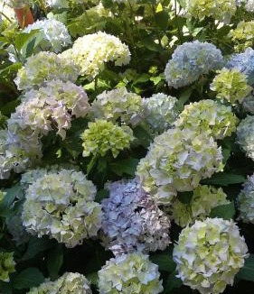 La Cropte Bed & Breakfast | Le Moulin d'Hys