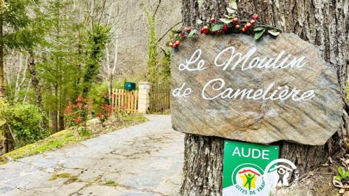 Caudebronde House | Le moulin de cameliere
